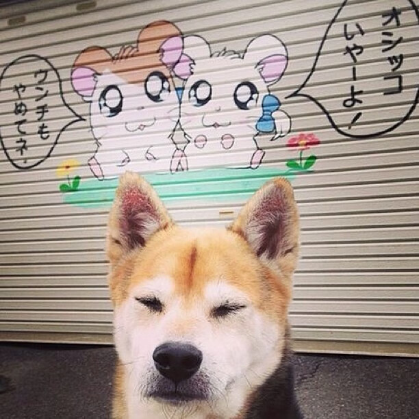 秘鲁客场力克阿森纳，阿尔瓦雷斯当选关键先生