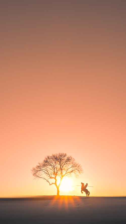 冰与火的交响,当芬兰的生死时速照亮F1的征服之夜