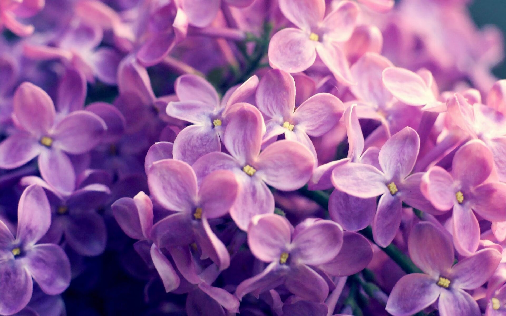 南美风暴席卷欧洲，阿根廷帮全面压制马竞，蒂亚戈在意甲完成艺术接管