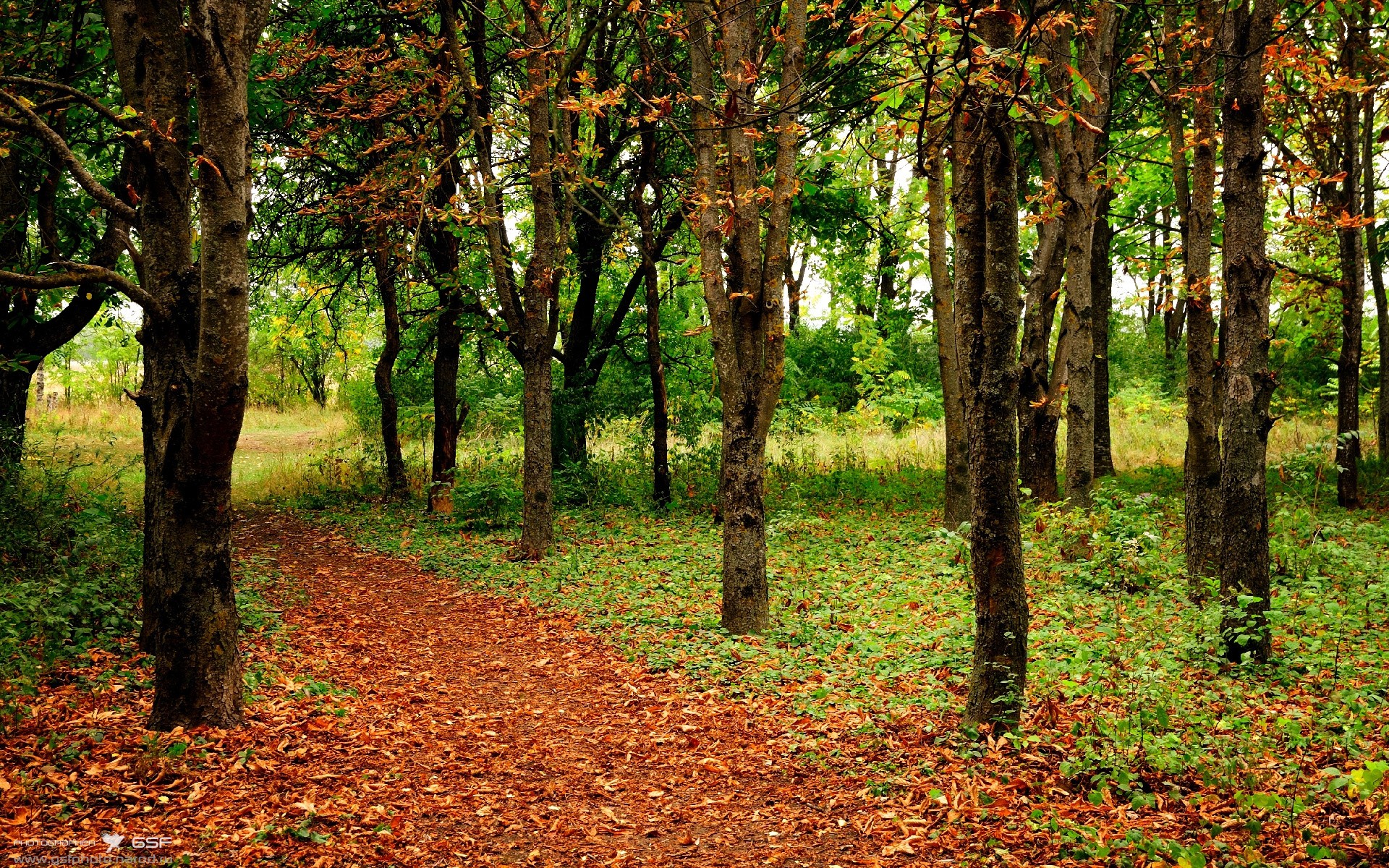 输出满格,信号不断,厄德高统领摩洛哥中场大捷