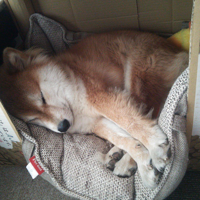 英超争冠白热化,皇家社会斩落雷恩搅动欧洲足球风云