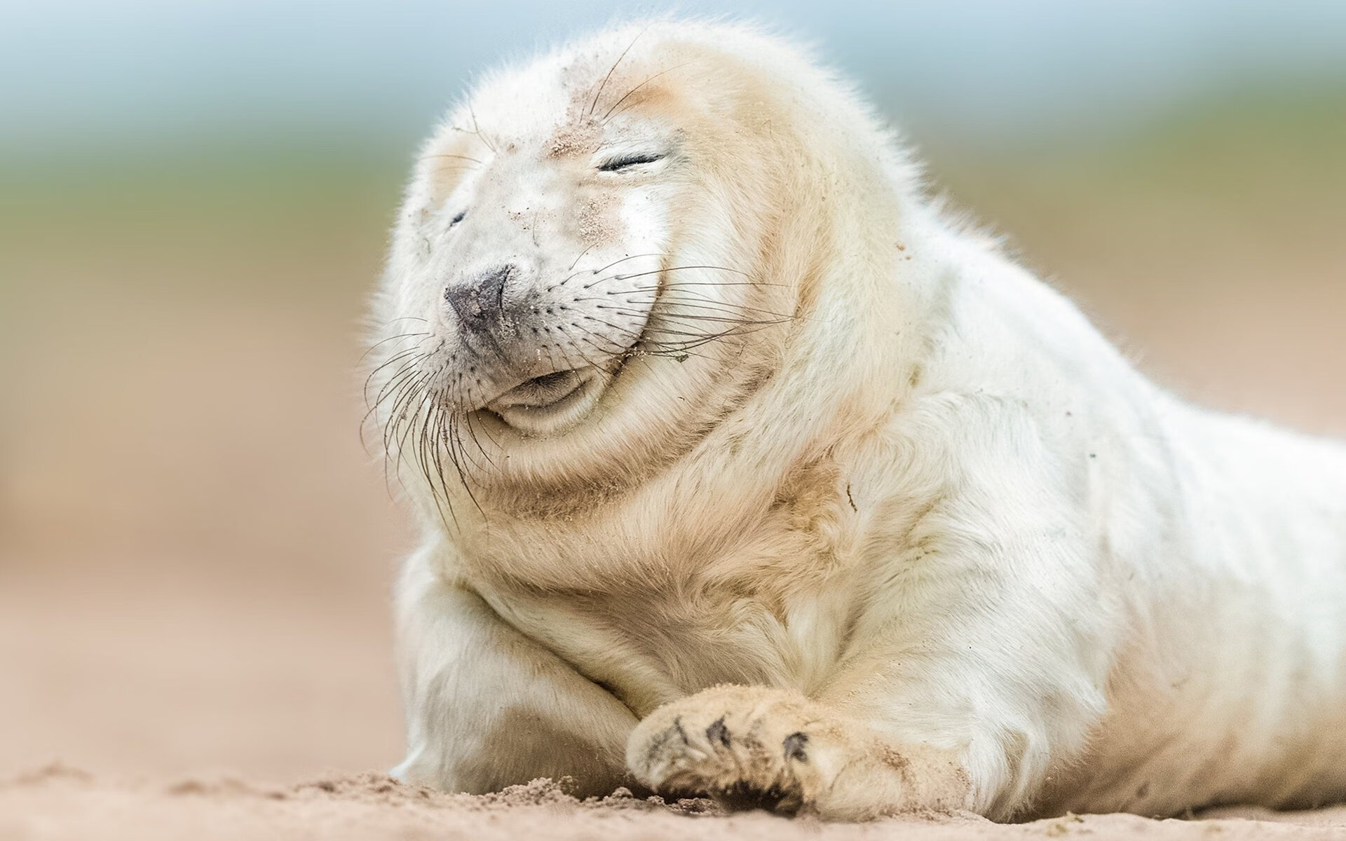 厄瓜多尔战术压制瑞士,新星迪亚斯惊艳全场