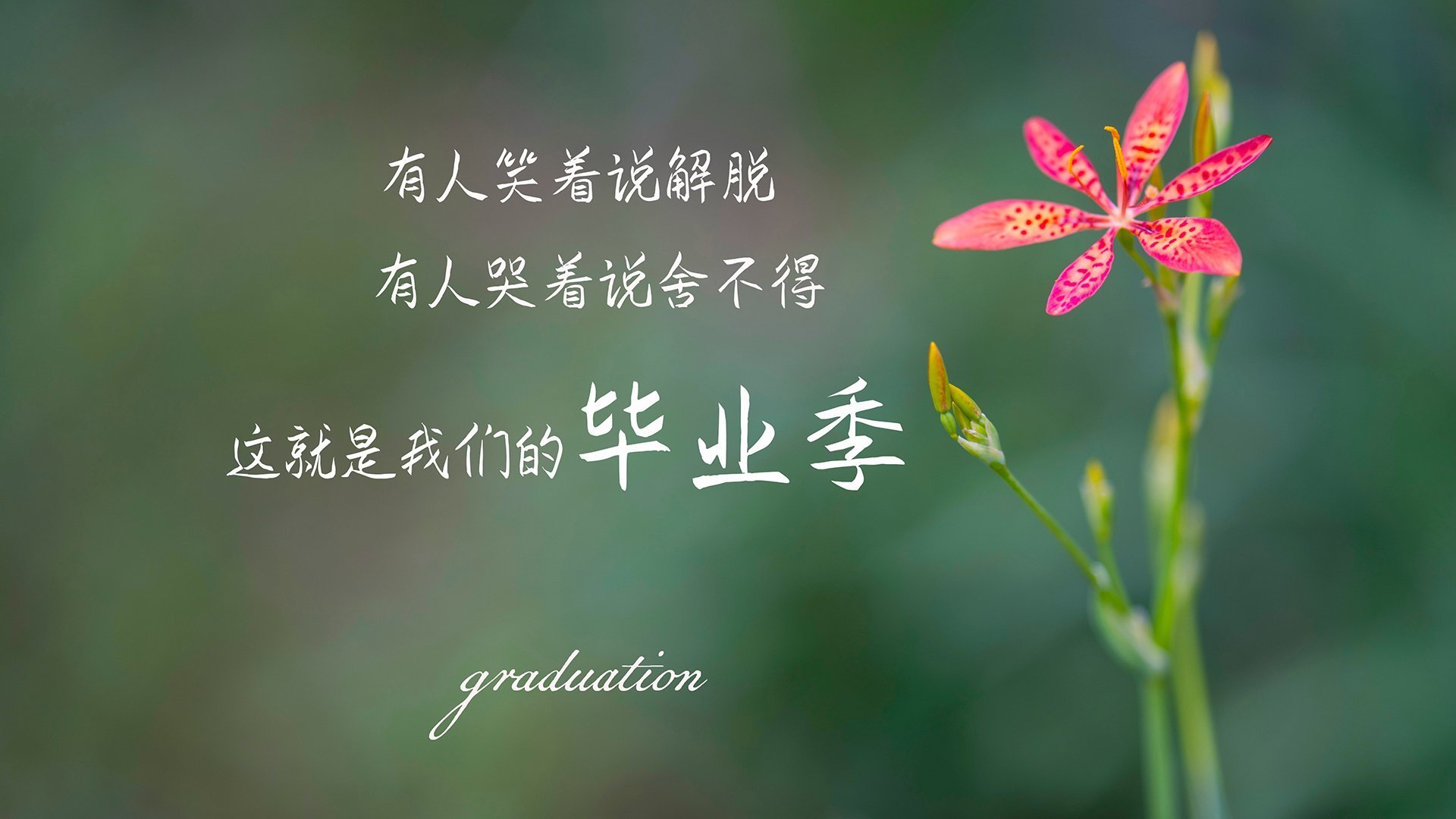 詹姆斯统治全场,年度焦点之战的辉煌篇章