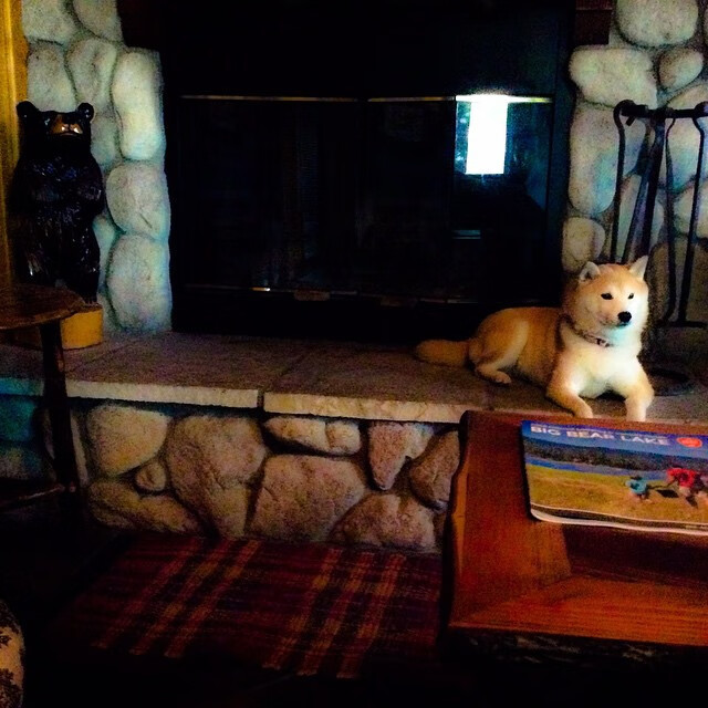 铁血意志的传承,德罗赞扛起全队,爵士加时鏖战力克尼克斯