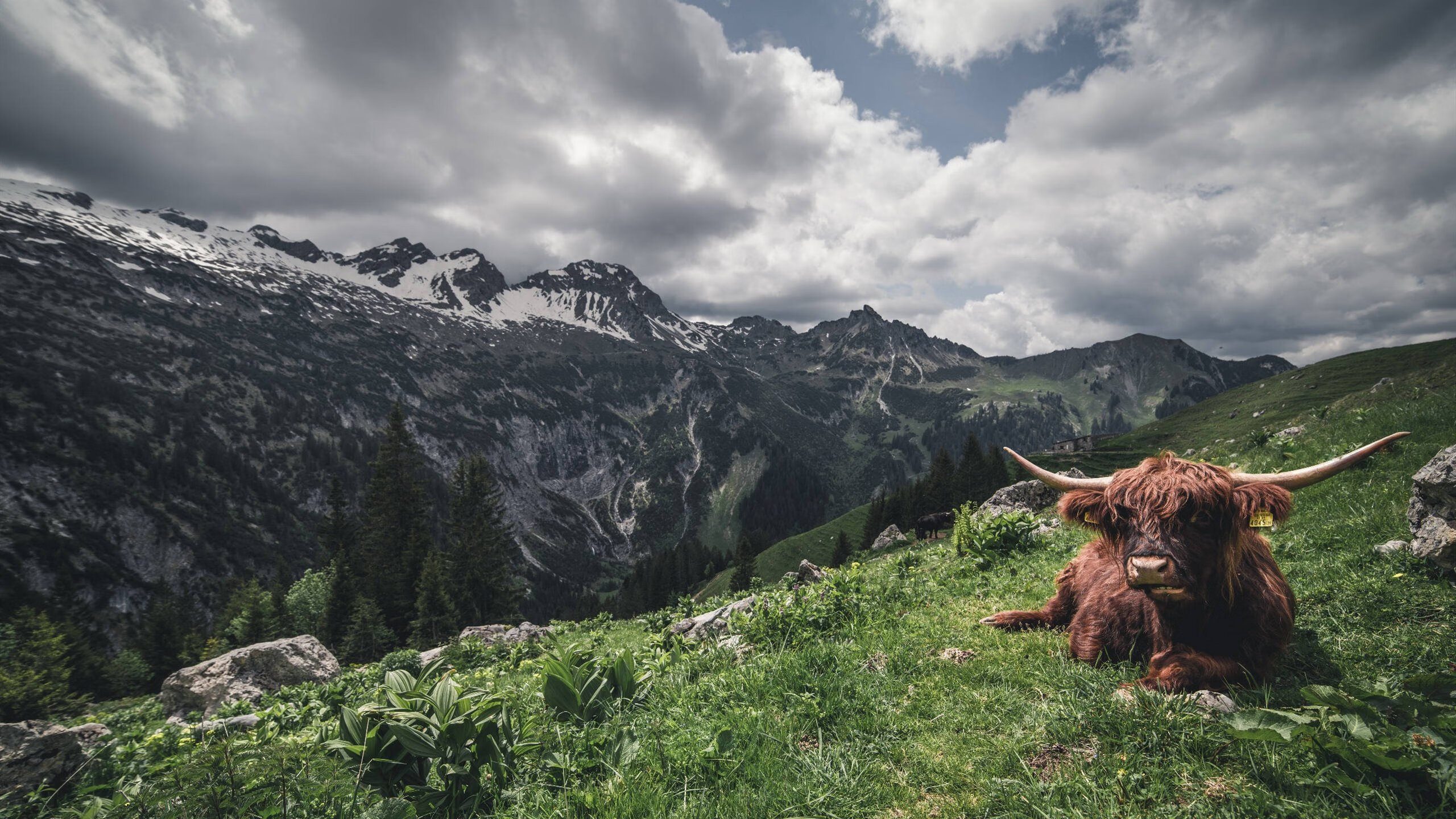 双线鏖战,热火骑士死磕东方,库里死神降临西决