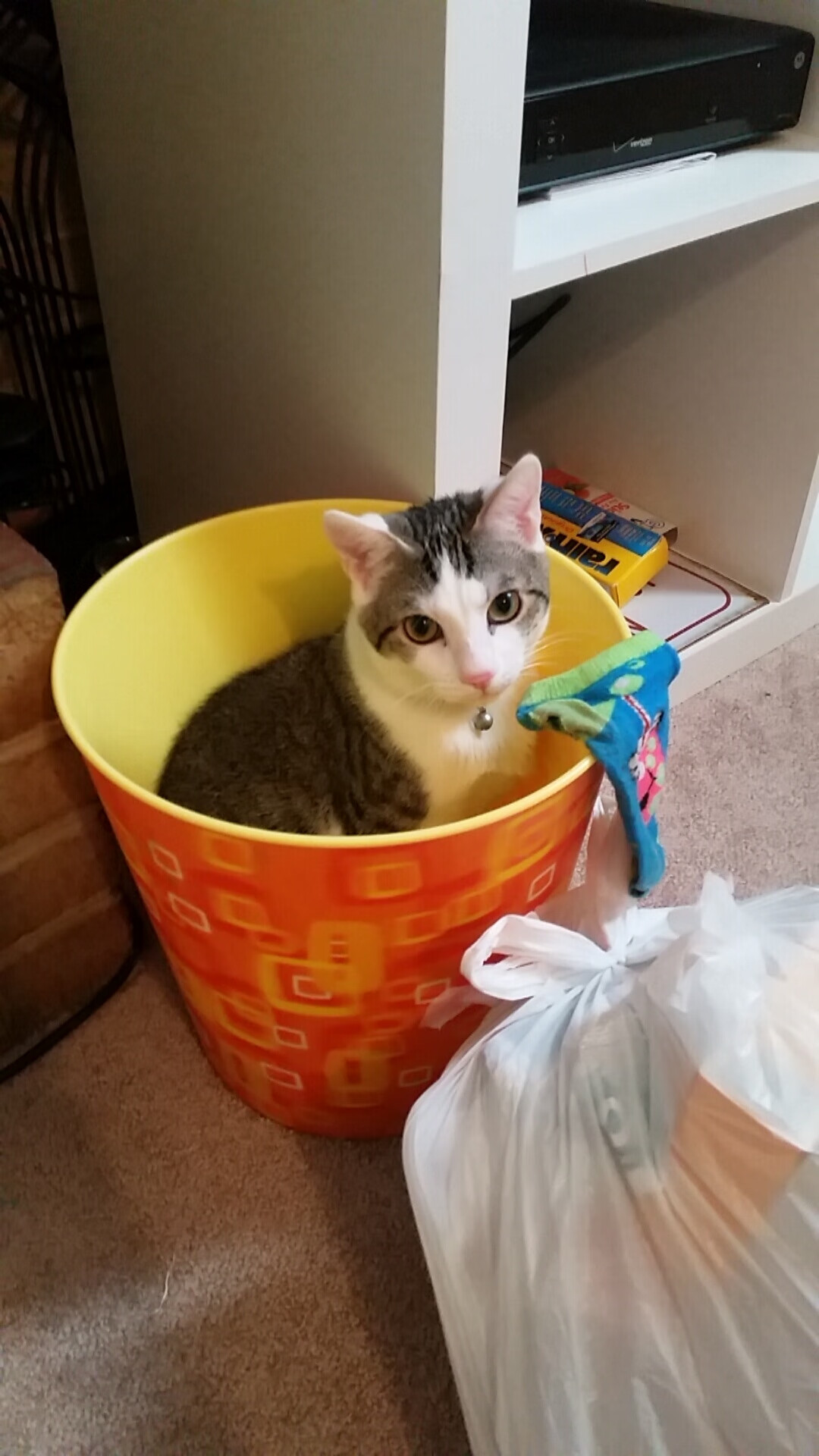 利拉德三分雨湮没浙江，76人攻防一体稳稳收下胜利