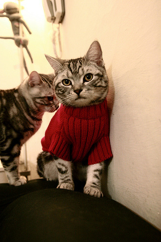 西亚卡姆状态火热狂飙得分，骑士连续攻击波压制魔术取关键胜利