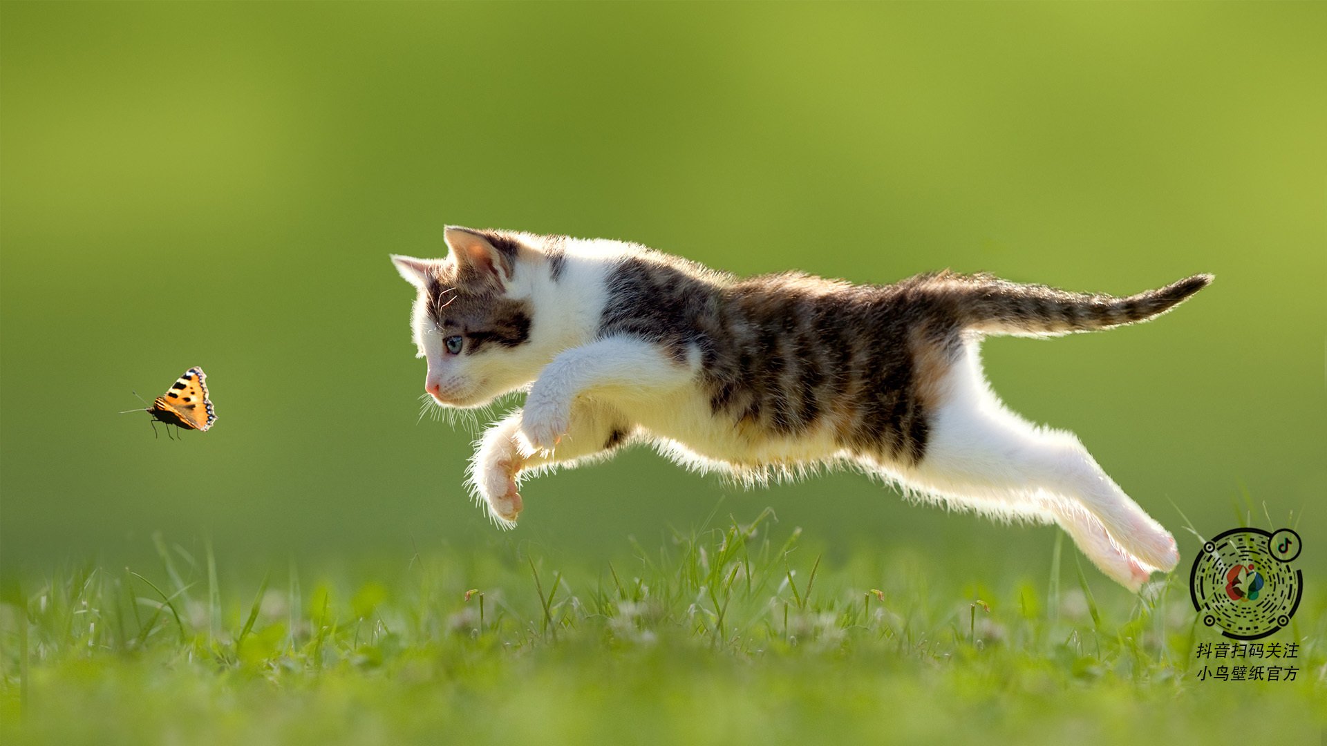 班凯罗黑夜燃星火，一场定义伟大的欧冠淘汰赛高光