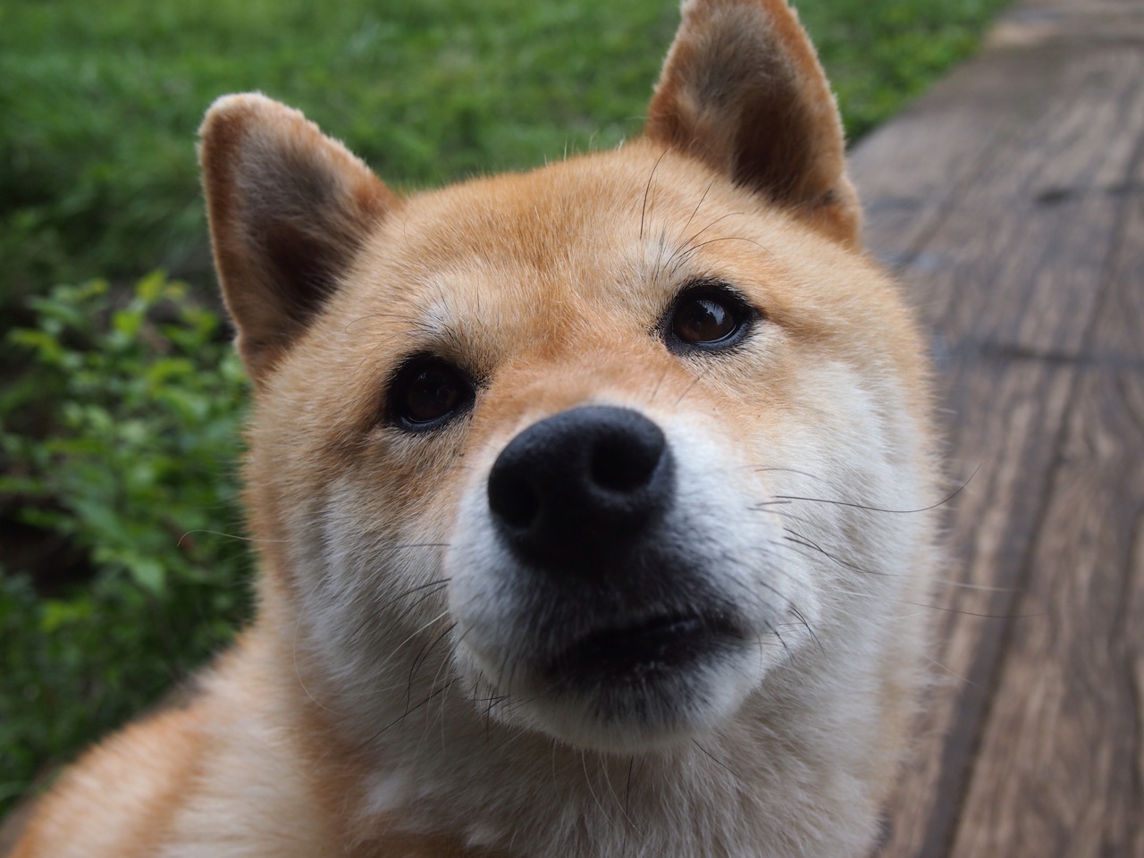 拉梅洛·鲍尔的指尖艺术，一场非典型胜利背后的大样本决策