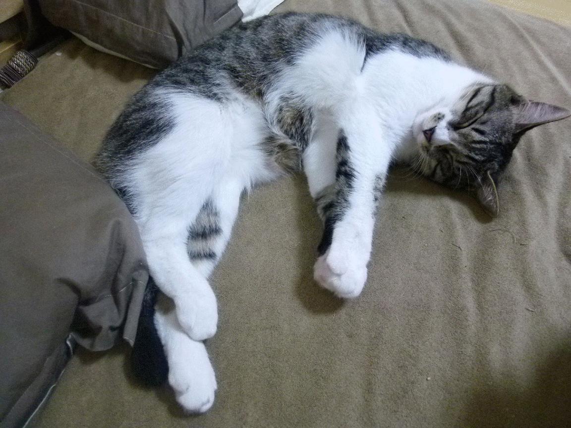 冷门与接管，竞技体育的冰火双重奏