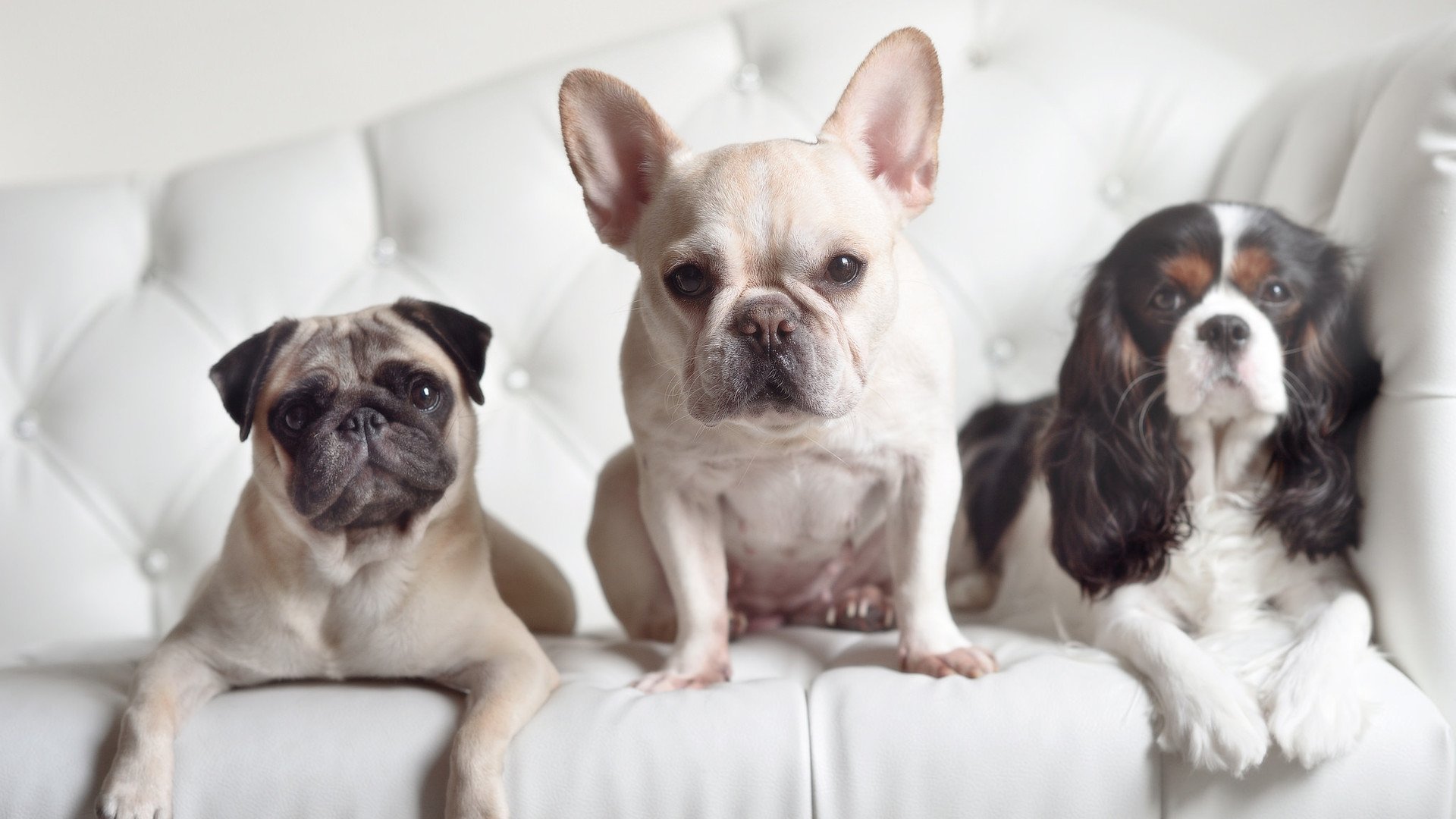 磐石与飞沙，斯通斯的不掉线哲学如何为混乱比赛注入现代防守确定性