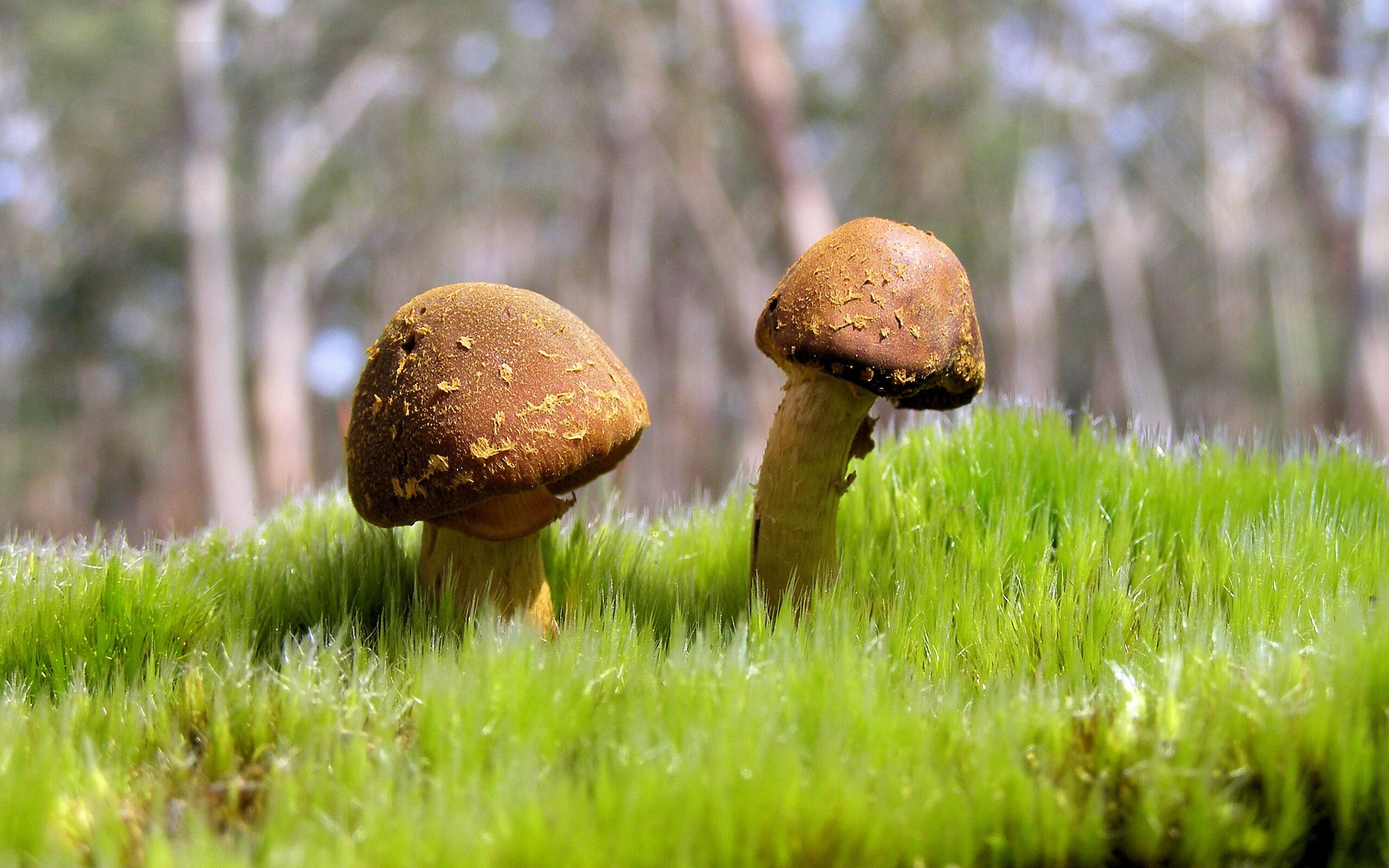 绝境之王！克罗地亚点球神话再续，奥纳纳一箭穿心葬送希腊