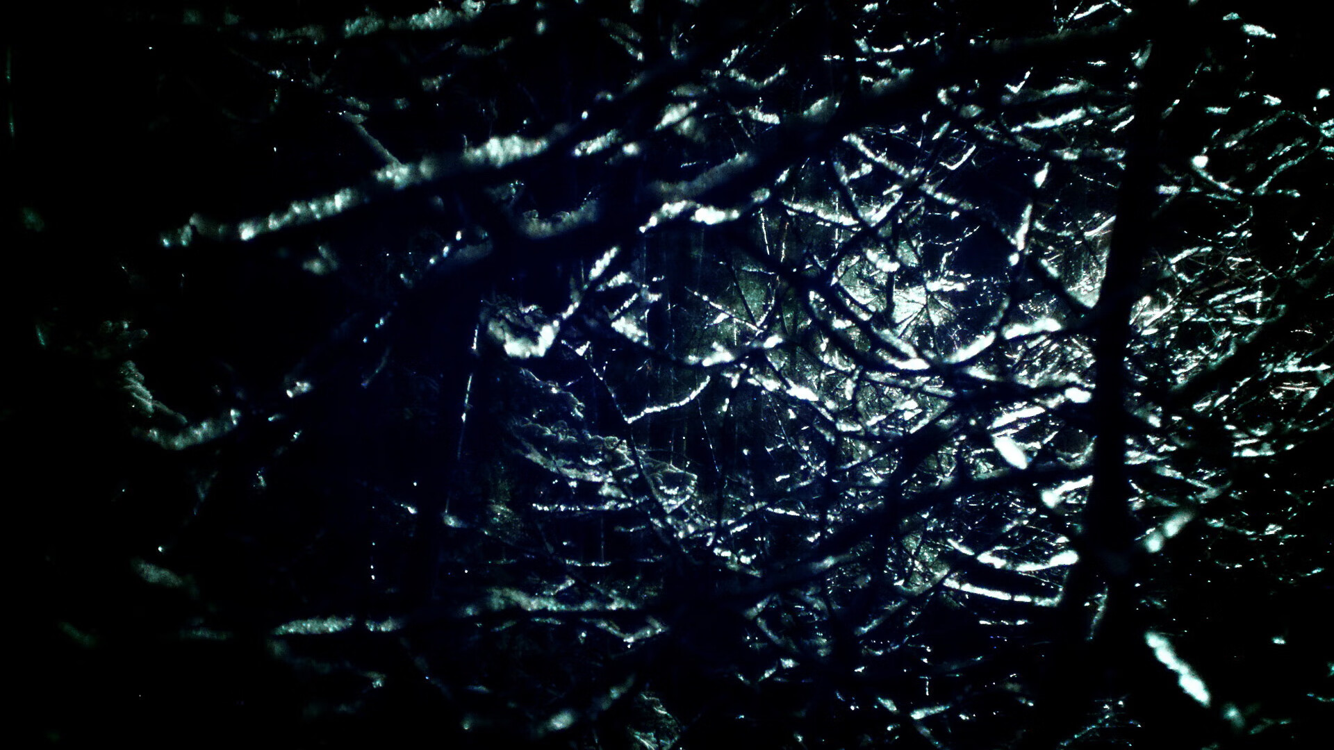 欧冠夜，维尼修斯压制级发挥，切尔西力擒勒沃库森